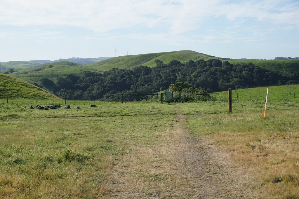DSC02004