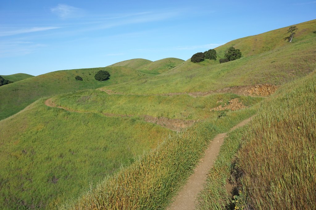 DSC02012