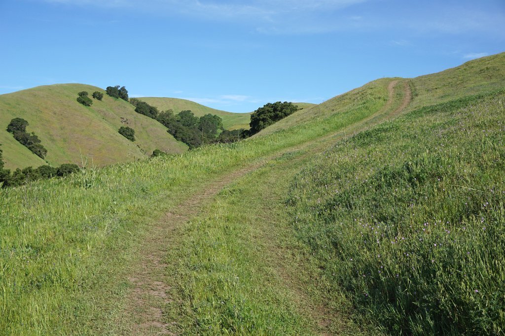 DSC02032
