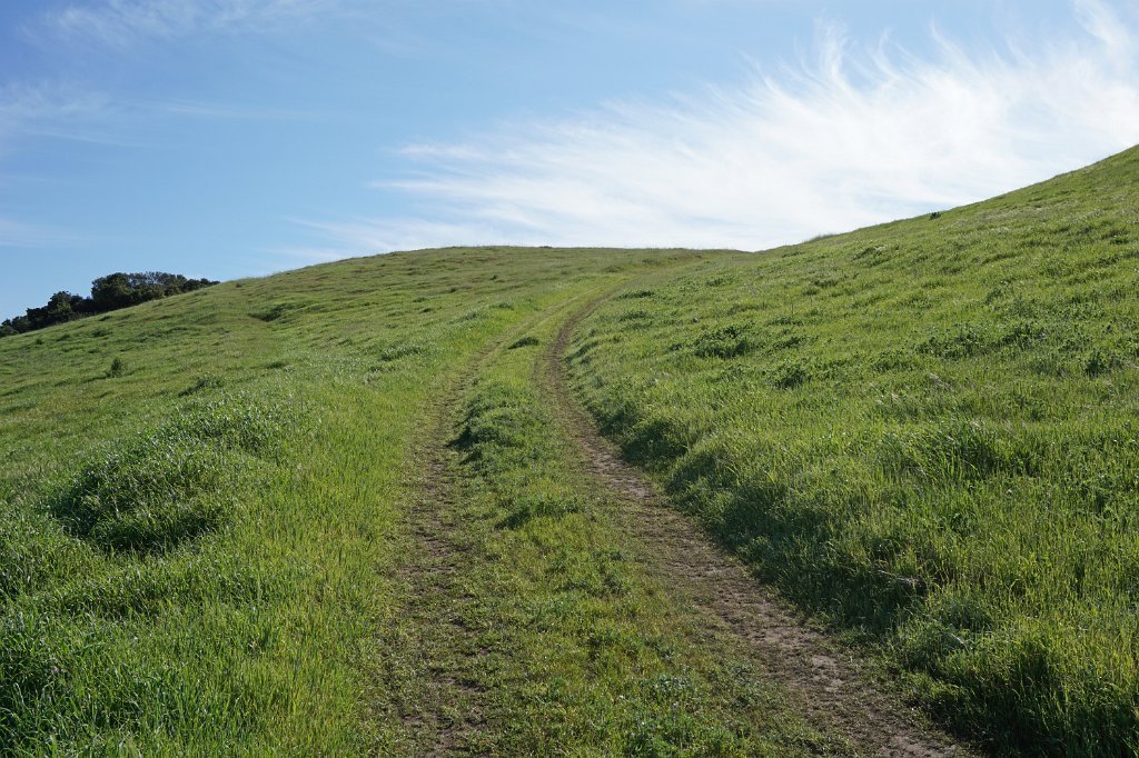 DSC02033