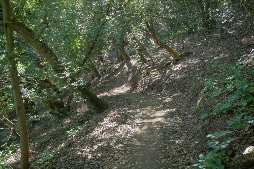DSC02045