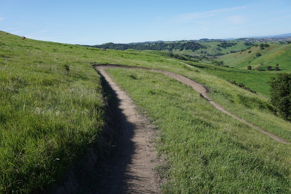 DSC02050