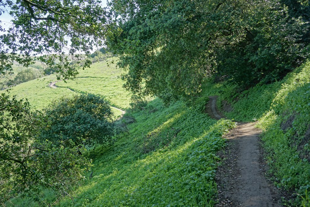 DSC02052