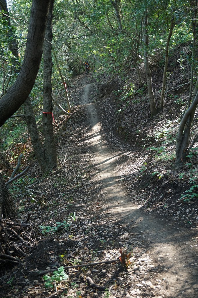 DSC02062