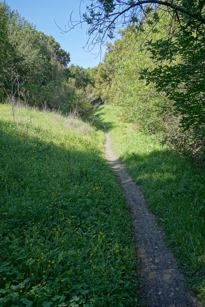 DSC02065