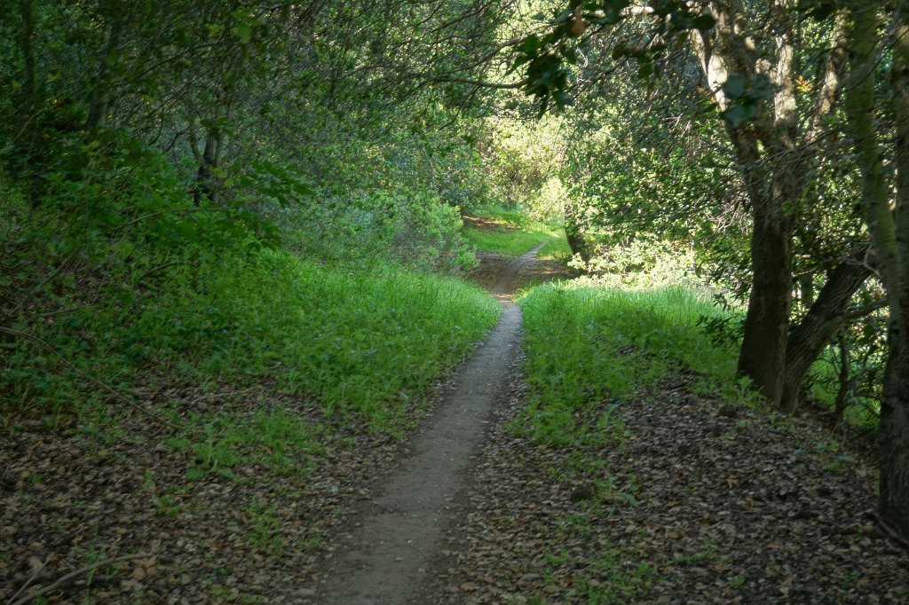 DSC02067