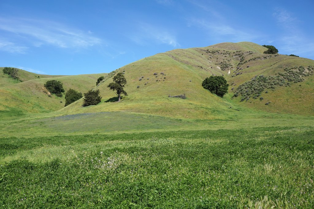 DSC02070