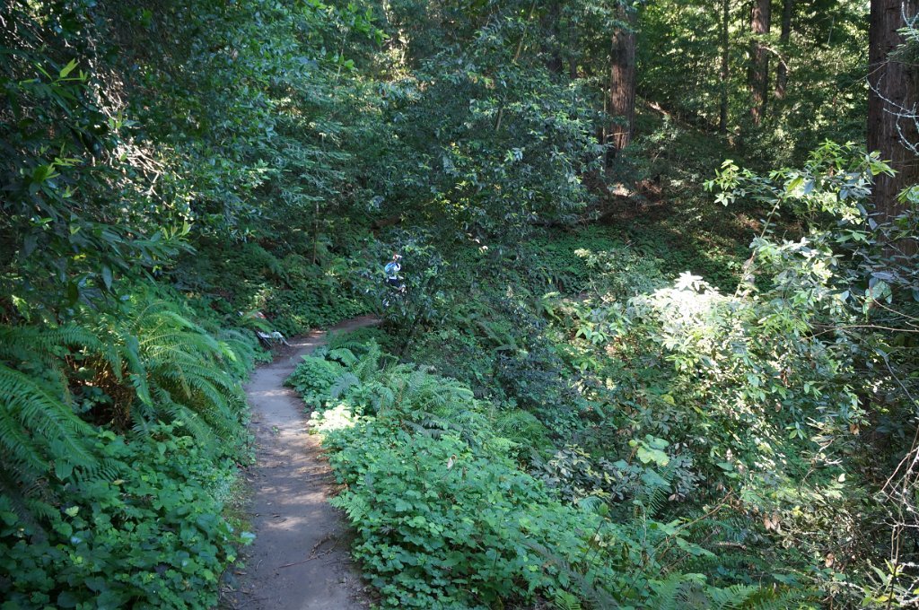 DSC09217