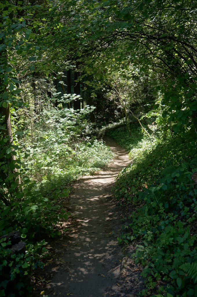 DSC09230