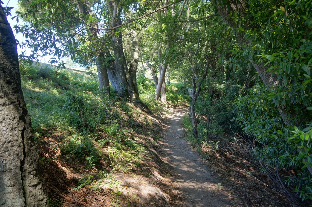 DSC09245