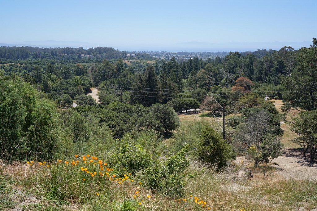 DSC09300