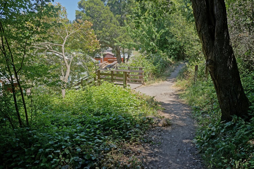 DSC09309