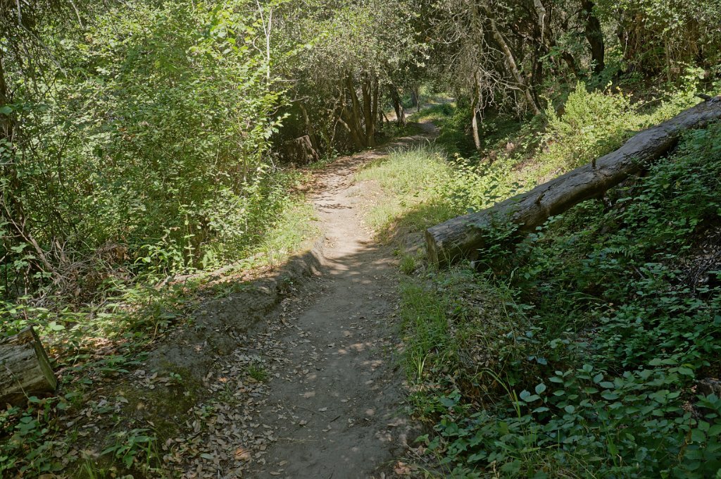 DSC09313