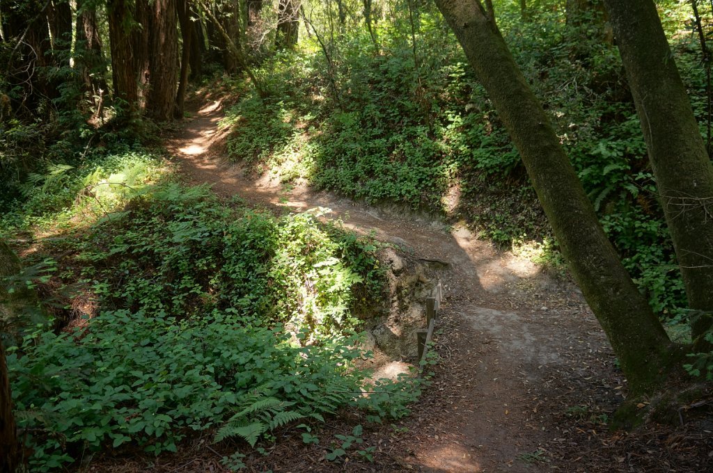 DSC09315