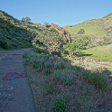 DSC02254