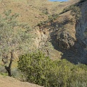 DSC02285