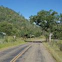 DSC02296