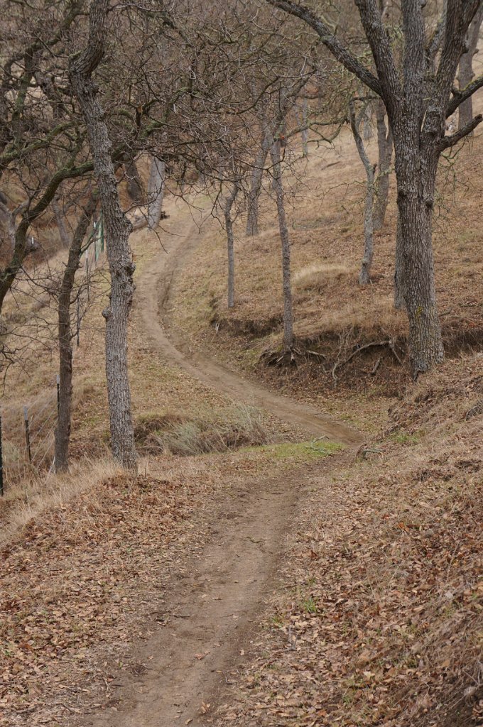 DSC00409