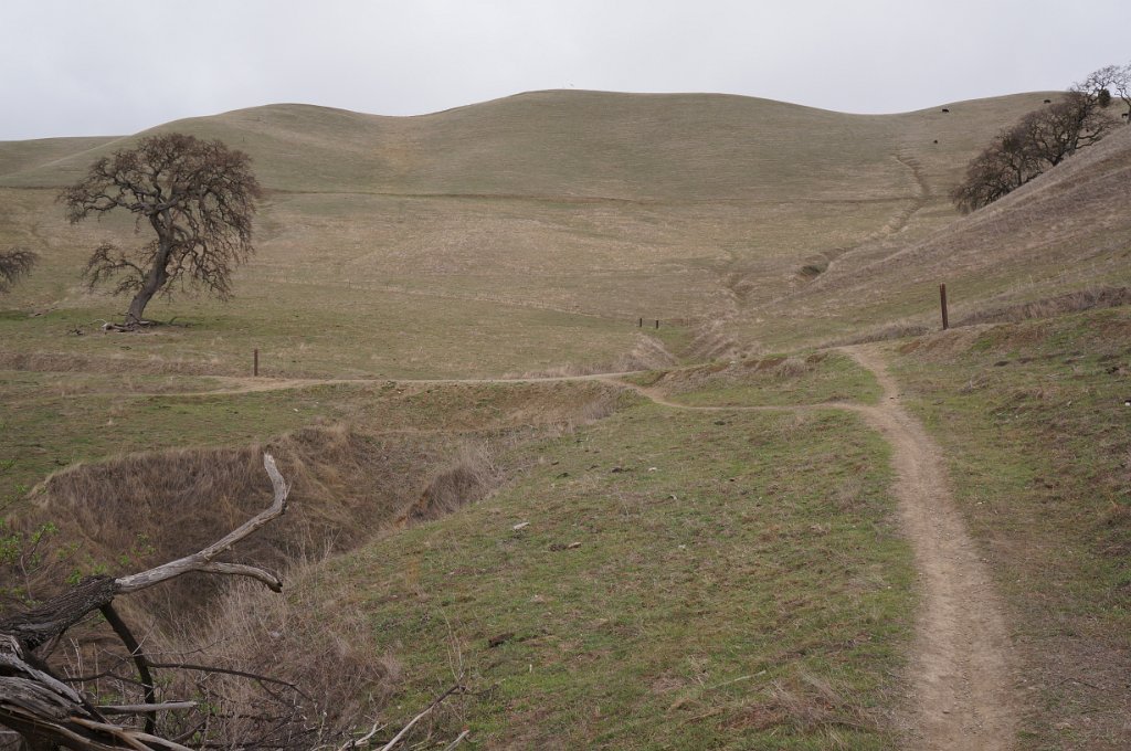 DSC00430