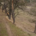 DSC00408