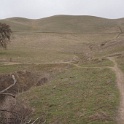 DSC00430