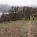 DSC00431