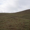 DSC00440