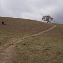 DSC00441