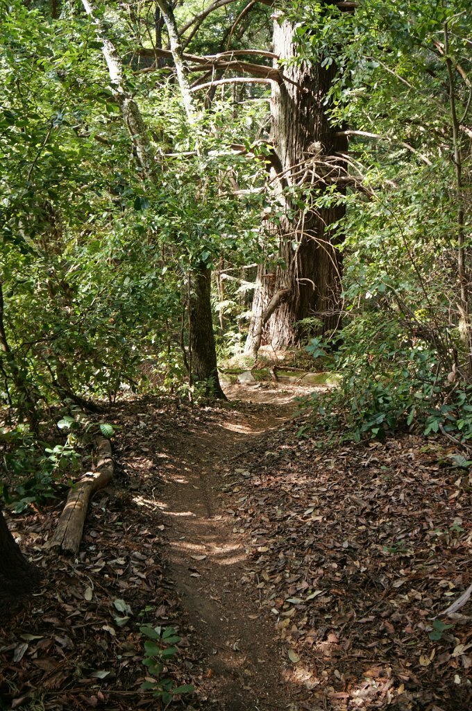 DSC04807