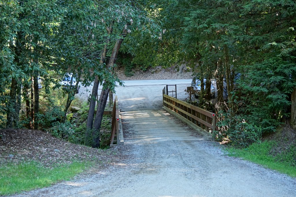 DSC01956