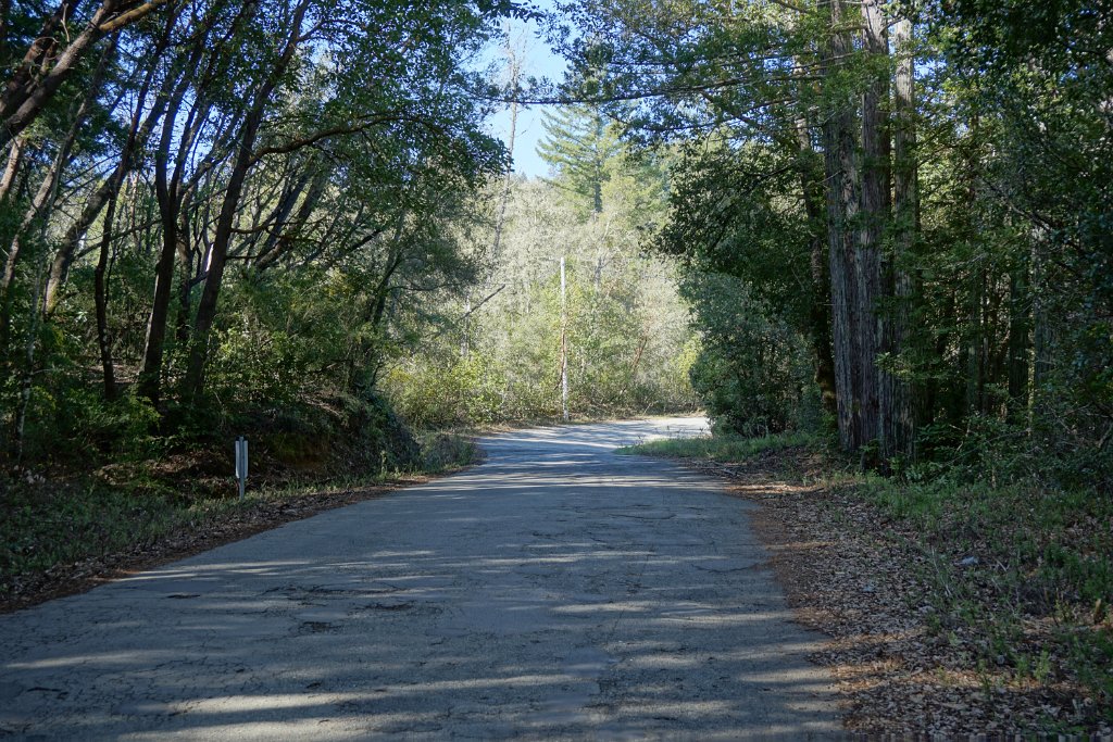 DSC01971