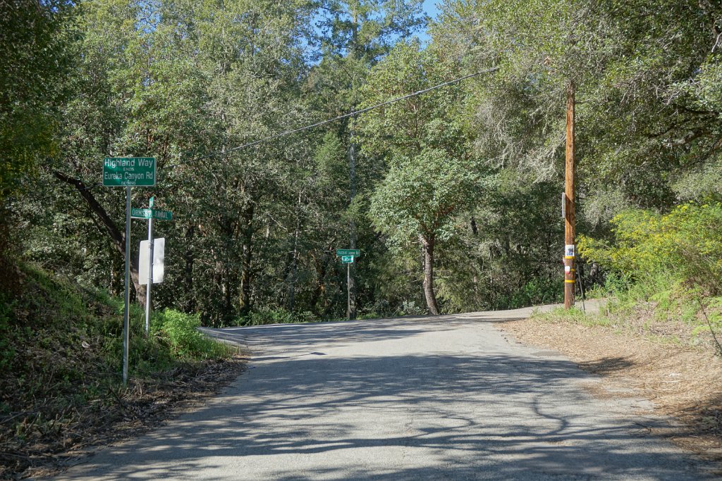 DSC01975