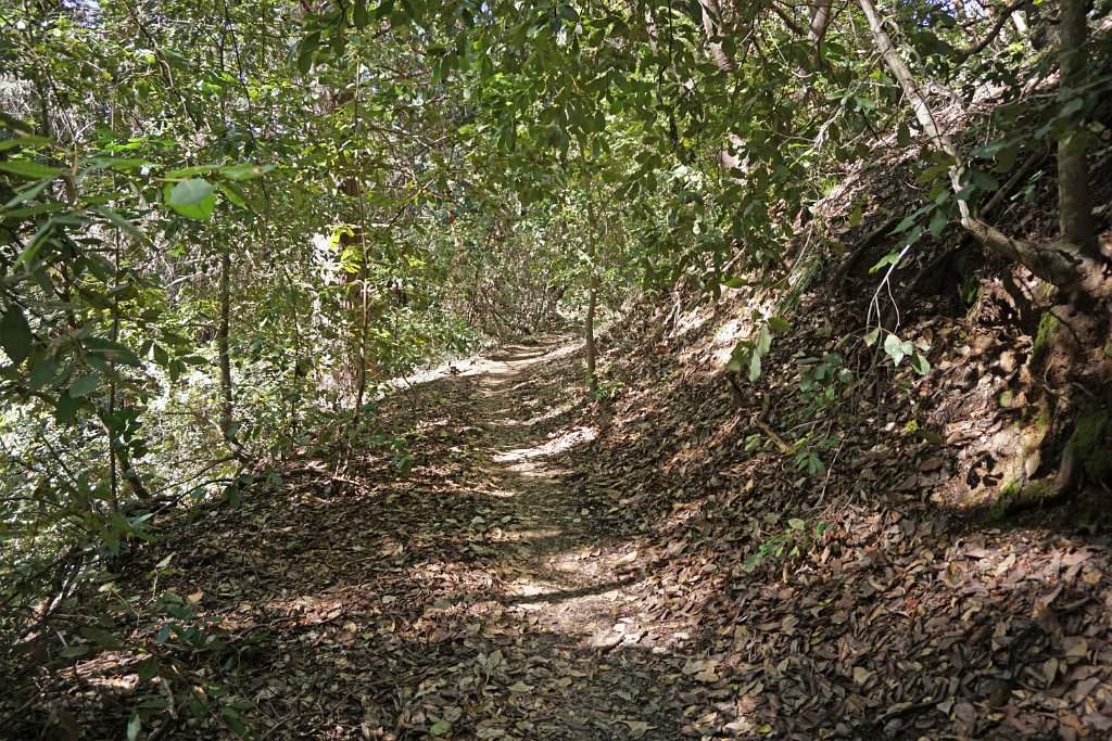 DSC02000