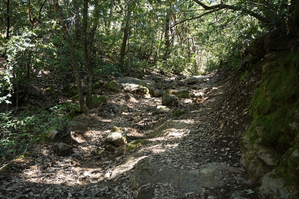 DSC02006