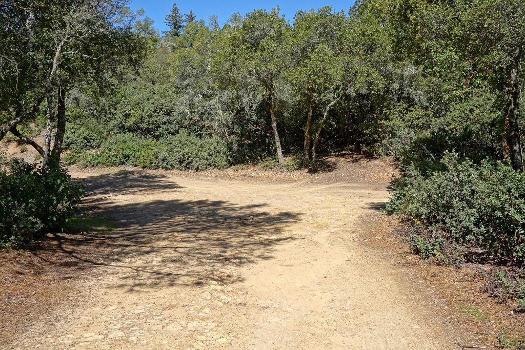 DSC02013