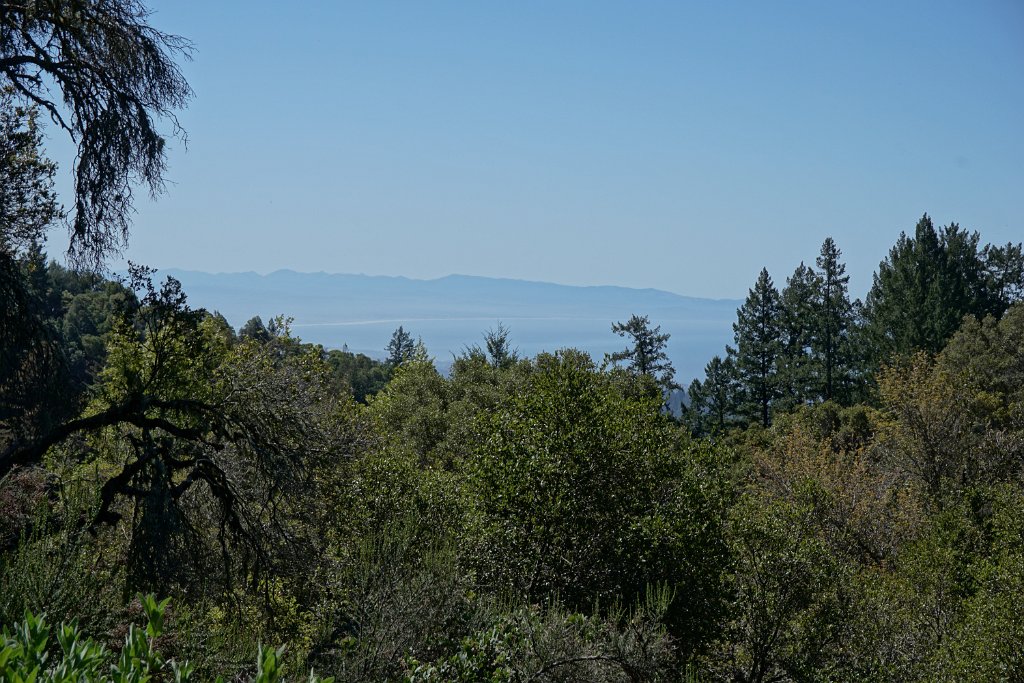 DSC02024