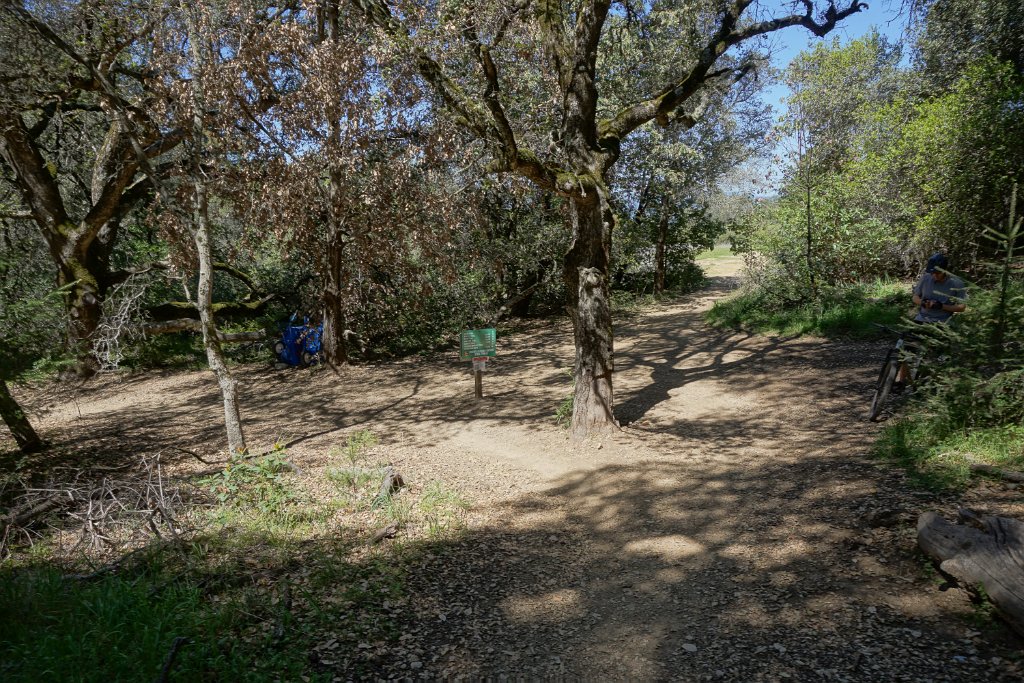 DSC02053
