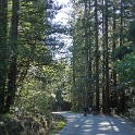 DSC01961