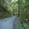 DSC01963