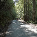 DSC01964