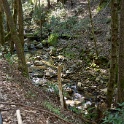 DSC01967