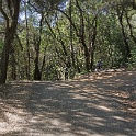 DSC01984