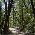 DSC01989