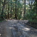 DSC01990