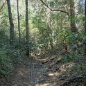 DSC01999