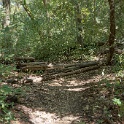 DSC02003