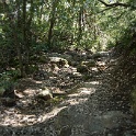 DSC02006