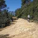 DSC02010