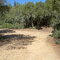 DSC02013