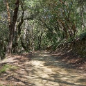 DSC02017